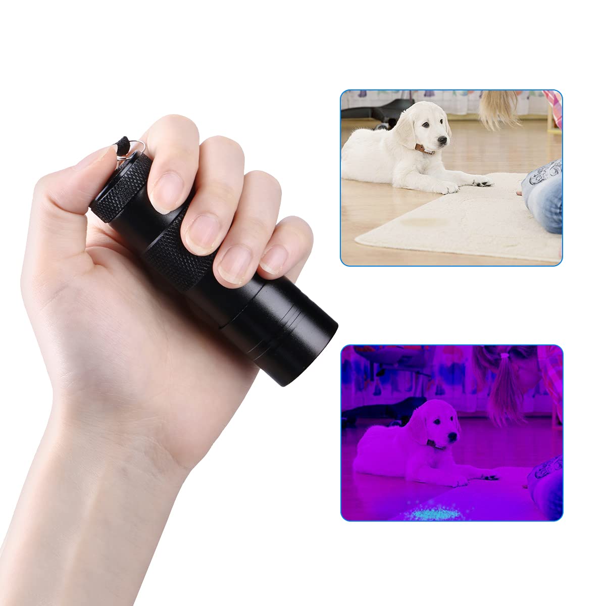 Sltg2020 Uv Ultra-Violet 12 Led Flashlight Blacklight Light 395 Nm Inspection Lamp Torch