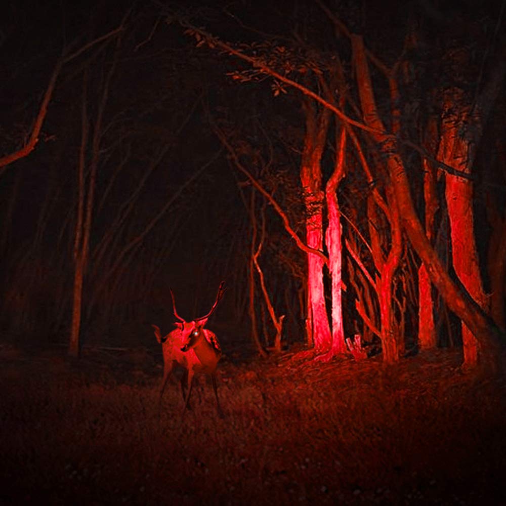 Ar Happy Online 3 Pack Red Light Flashlight, 3 Modes Mini Red Led Flashlight, Zoomable Red Flashlight Torch With Clip For Night Vision, Astronomy, Aviation, Night Observation