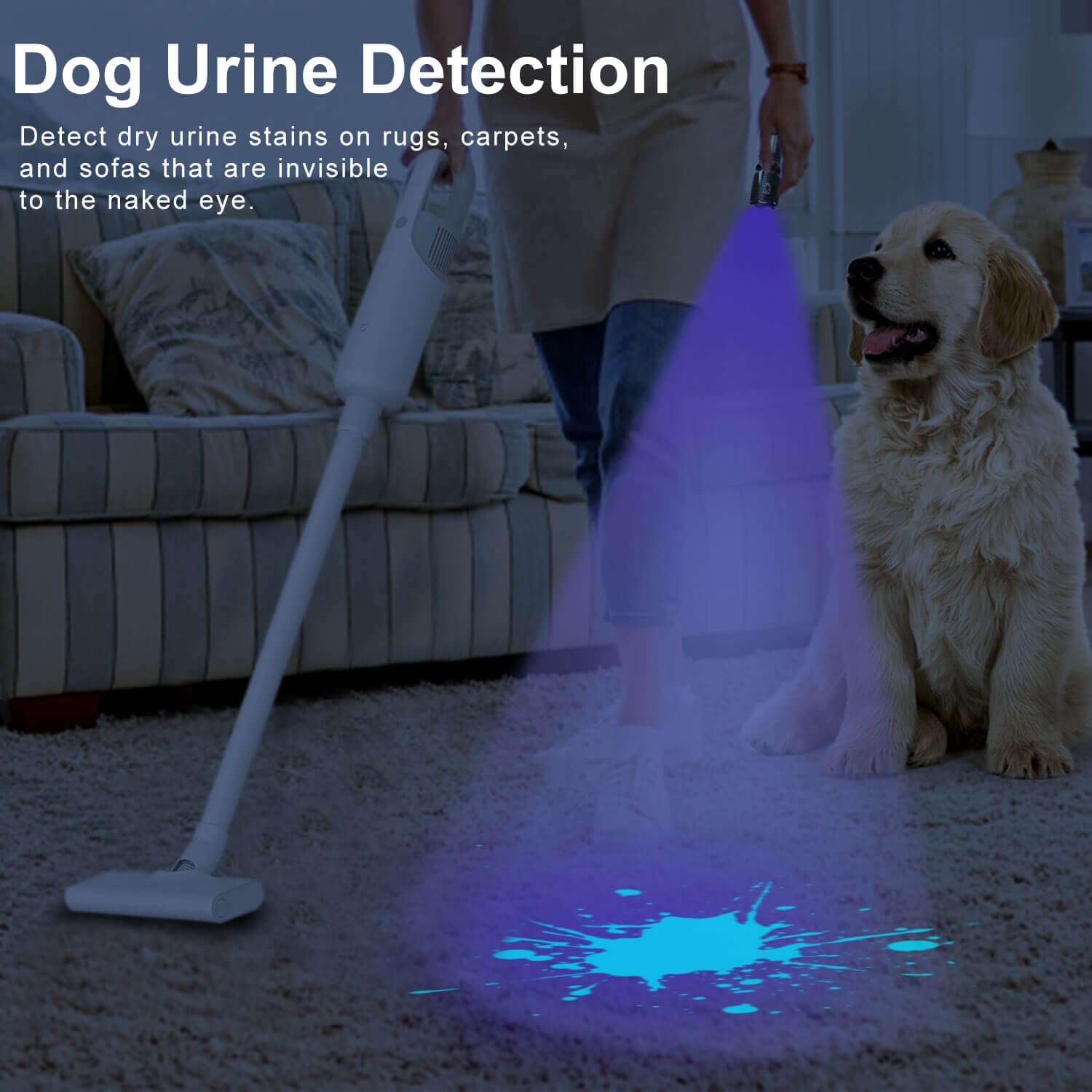 Acisa Uv Blacklight Flashlight - 365Nm And 395Nm Black Light For Uv Glue Curing, Urine Stain Detection, Anti-Counterfeiting, And More - Compact Handheld Ultraviolet Torch Wood'S Lamp