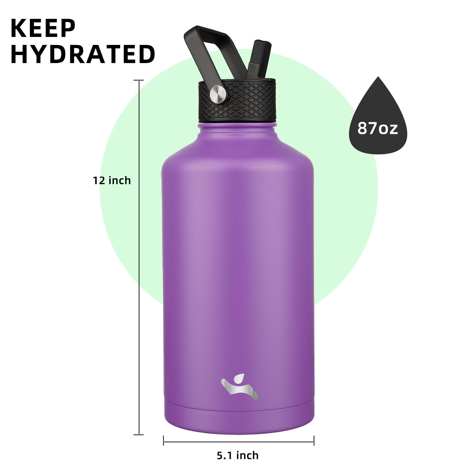 Insulated Water Bottle With Straw,87 Oz 3 Lids Water Jug With Carrying Bag,Paracord Handle