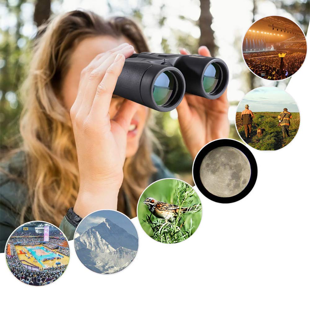 Megrezo 10X42 Professional Binoculars With Smartphone Adapter, Compact Waterproof Low Night Vision Binoculars For Adult Birds Watching Hunting Concert Travel