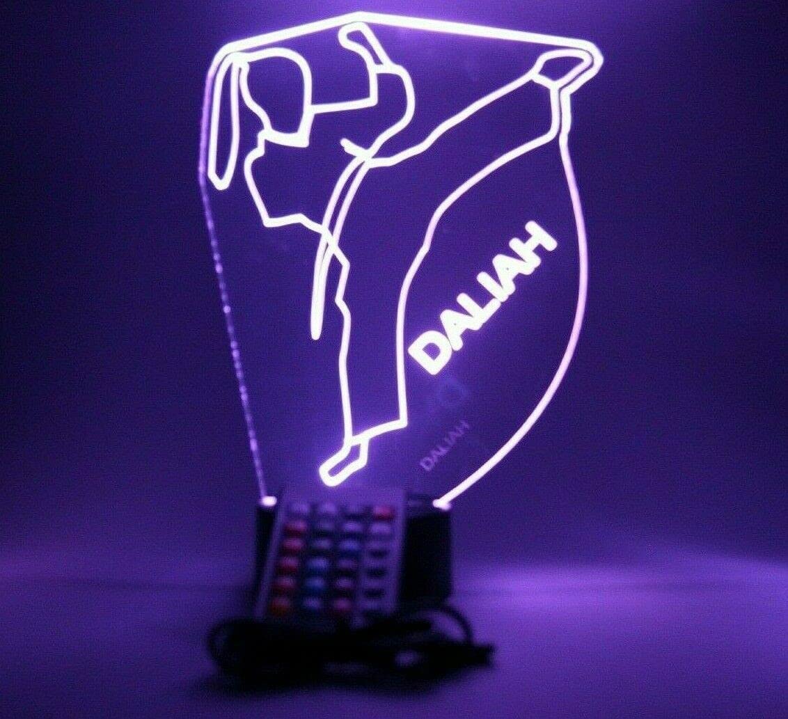 Mirror Mania Karate Night Light Up Lamp Led Engraved Girl Karate Martial Arts Desk Lamp Custom Name Personalized Female Karate Do Table Lamp, With Remote, 16 Color Options, It'S Wow, Sports