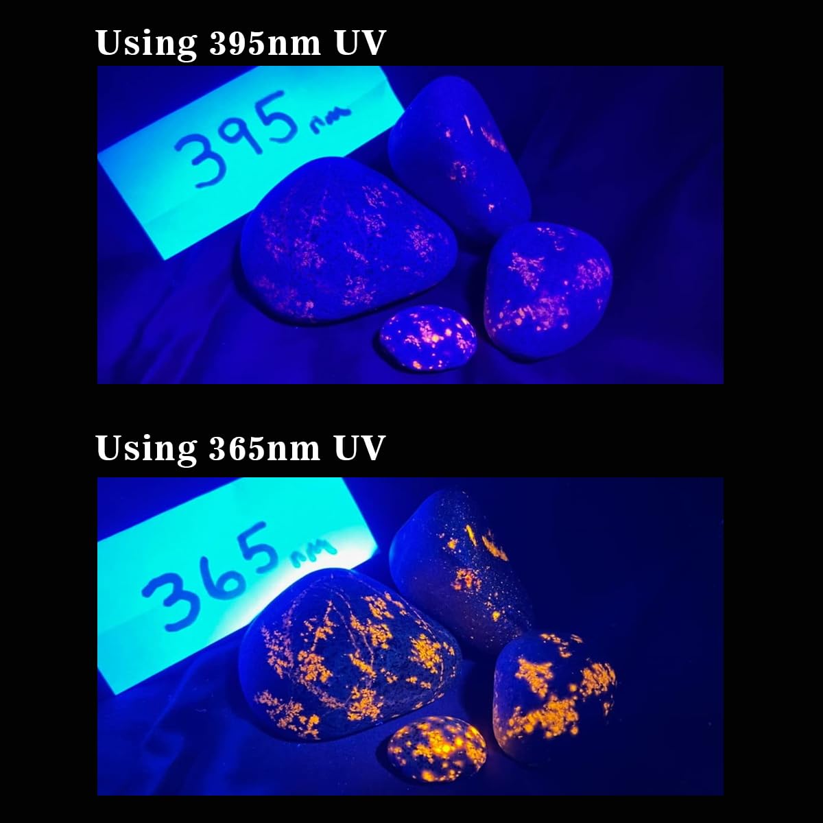 Waklyte Black Light Uv Flashlight, High Power Blacklight Flashlight Rechargeable, 365Nm Wavelength Beam Best For Professional/Commercial Use