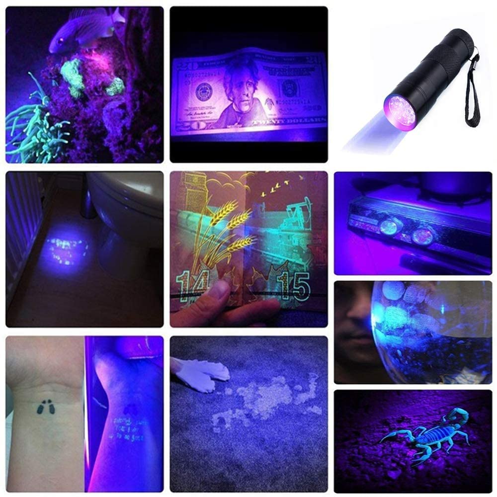 Optimal Shop 10 Pack Uv Blacklight 12 Led Flashlight Torch Light Outdoors Etc