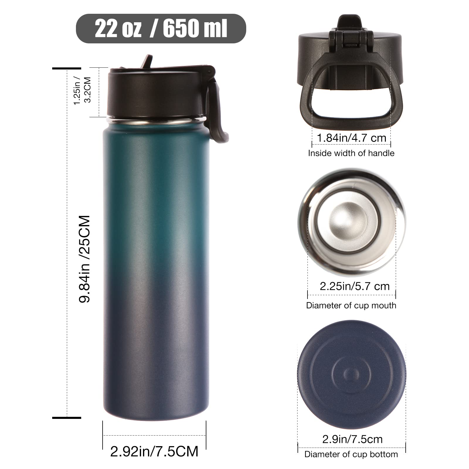 Volhoply Insulated Water Bottles With Straw Bulk 2 Pack, 22 Oz Stainless Steel Sports Bottle