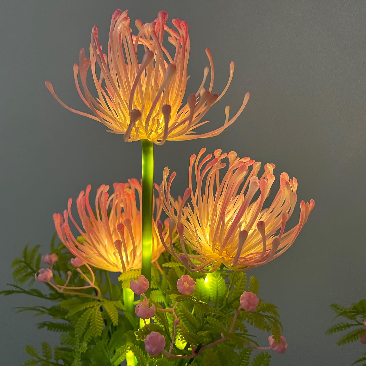 Guocheng 2Pack Solar Flower Lamps Outdoor Garden, 6-Flowers Red Magic Lily Landscape Lights Waterproof Solar Stake Garden Light For Courtyard Pathway Lawn Decor(Pink)