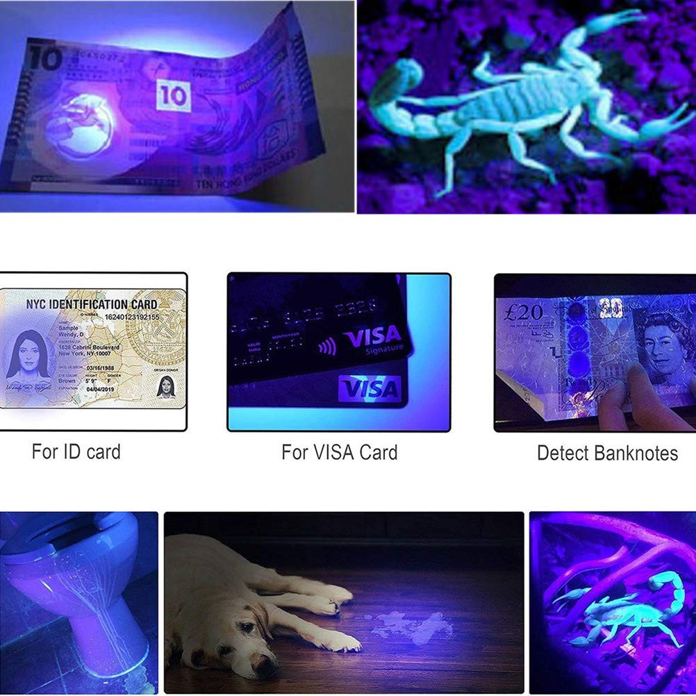 Wollcocer Black Light Uv Flashlight Led 7W 300Lm Sk68 Zoomable Ultraviolet Blue Light Torch For Scorpions Dog Cat Pet Urine Detector Fluorescent Minerals