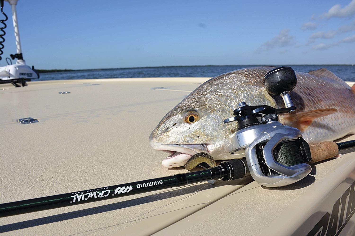 Shimano Tranx, Lowprofile Baitcasting Fishing Reel