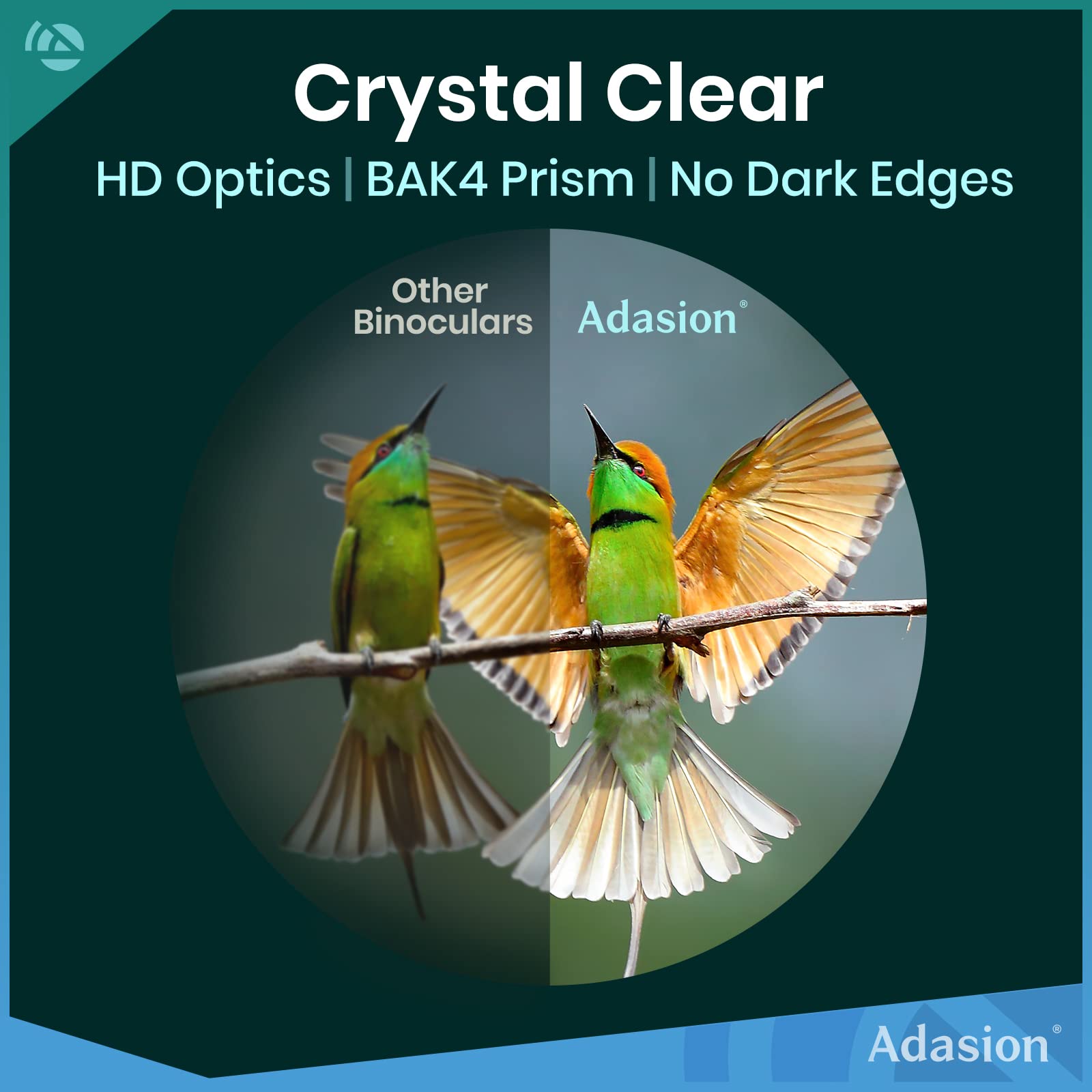 Adasion 12X42 Hd Binoculars For Adults High Powered With Phone Adapter And Tripod, Super Bright Bak4 Prism Waterproof Binoculars For Bird Watching Hunting Hiking Safari Travel Sports