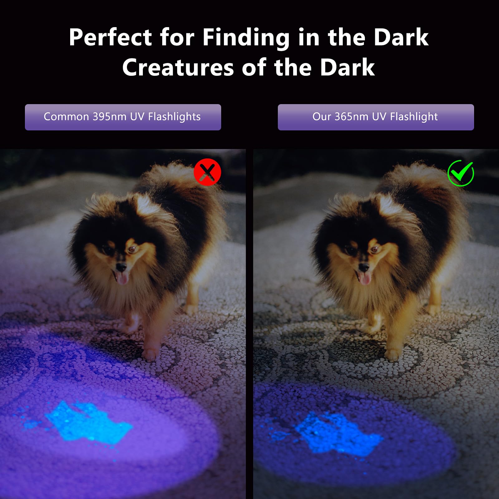 Xlentgen 365Nm Uv Flashlight, Usb Rechargeable Black Light Money Detector For Resin Curing Fishing, Dry Glue, Minerals Ringworm, Fluorescent, Scorpion, Rockhounding, Pet Urine Detector