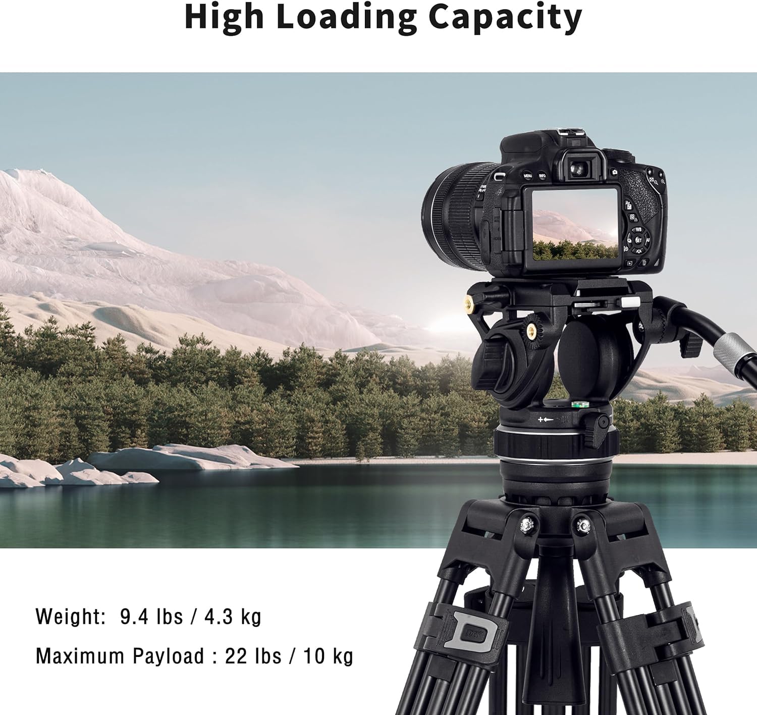 Cayer Bf310 Heavy Duty Video Tripod With Fluid Head, 74 Inch Working Height, Aluminum Tripod Head With Adjustable Pan Drag Control, 2-Section Pan Handle, Max Load 22 Lbs For Dslr, Camcorder, Cameras