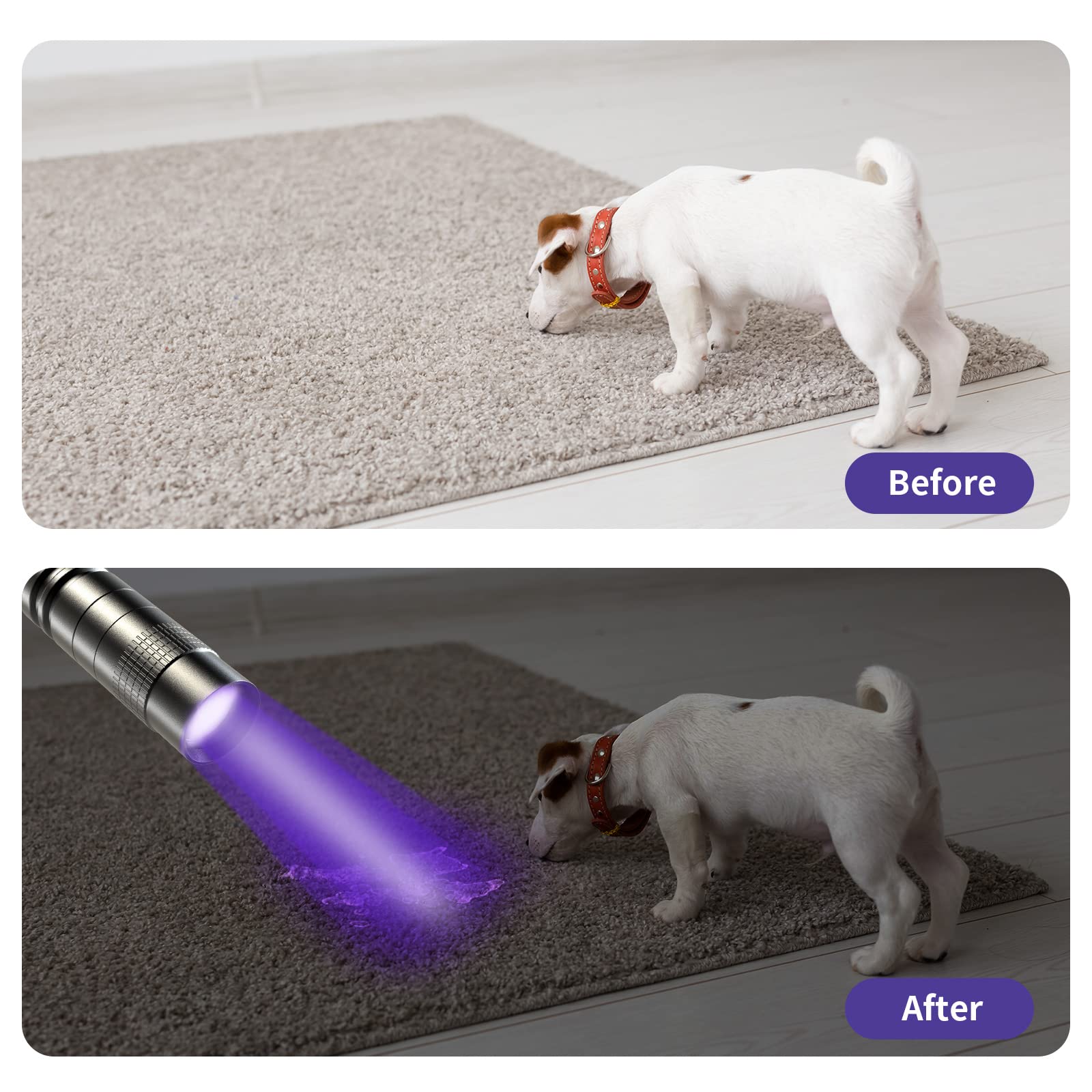 Cosoos 2 Uv Black Light Flashlight, 2 Pack 395Nm Mini Pen Light With Clip, Waterproof Ultraviolet Flashlight For Leak, Pet Urine, Scorpion, Hotel Inspection, Dry Stain And Bed Bug.