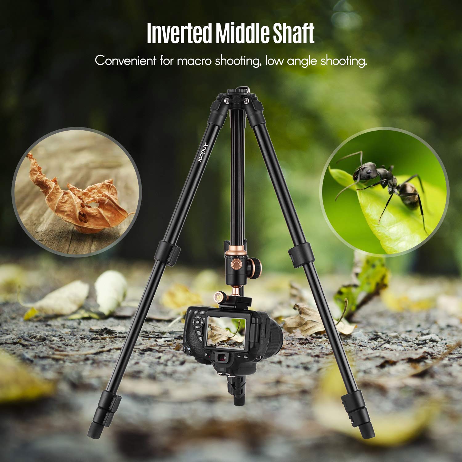 Camnoon Camera Tripod Complete Tripods With Panoramic Ballhead Bubble Level Adjustable Height Portable Travel Tripod For Dslr Digital Cameras Camcorder Mini Projector Compatible With Canon Nikon Sony