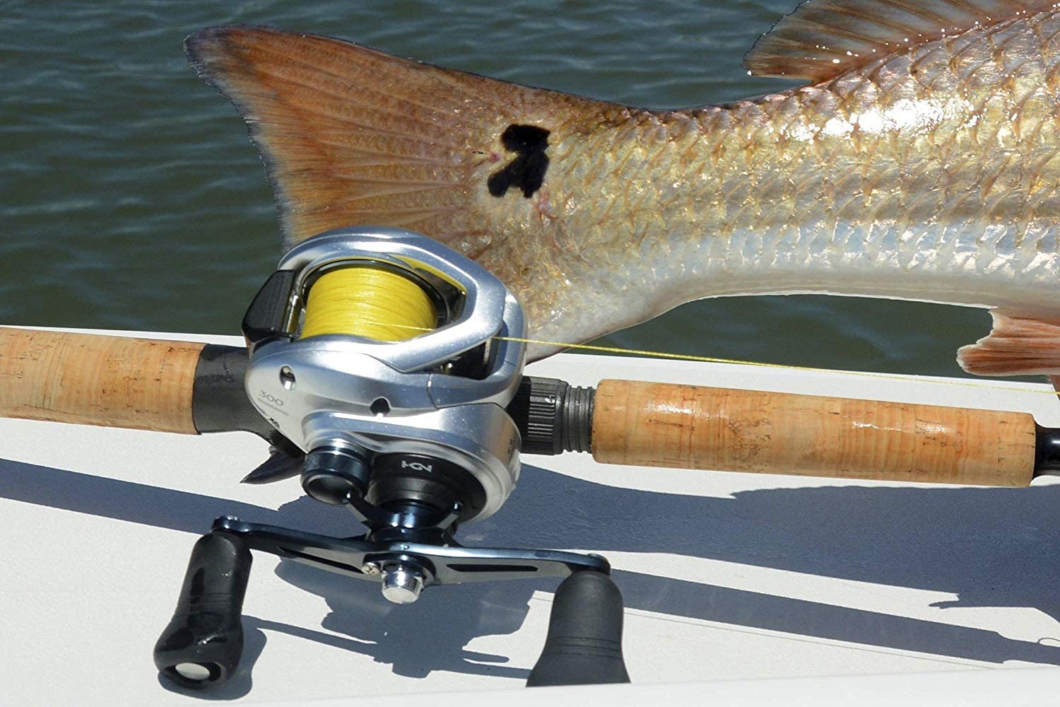 Shimano Tranx, Lowprofile Baitcasting Fishing Reel