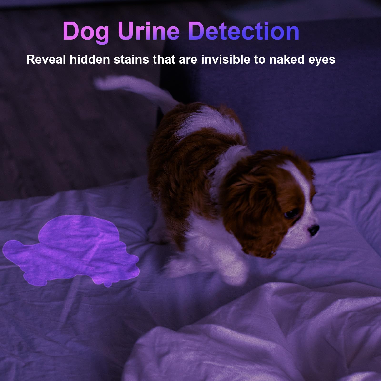 Cosoos 2 Pack Uv Flashlight, 365Nm Usb Rechargeable Black Light Flashlight, Mini Handheld Detector For Dog Cat Urine, Pet Stains, Scorpions, Resin Curing