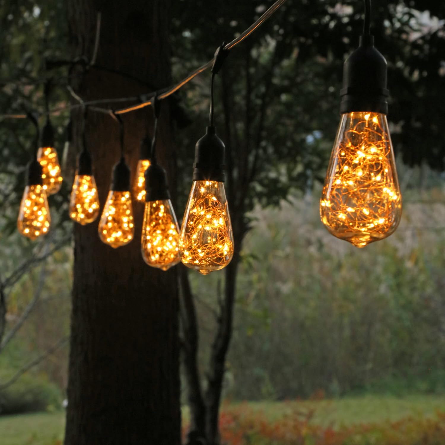 Ceinbota Ceinbota St19 Decorative String Light Bulbs,Led Fairy Bulb,1W Equivalent To 15W Incandescent Bulbs,Suitable For Liveing Room,Bedroom,Courtyard Light String Bulbs,Warm White 2200K,E26 Base,120V/Ac(6Pack)