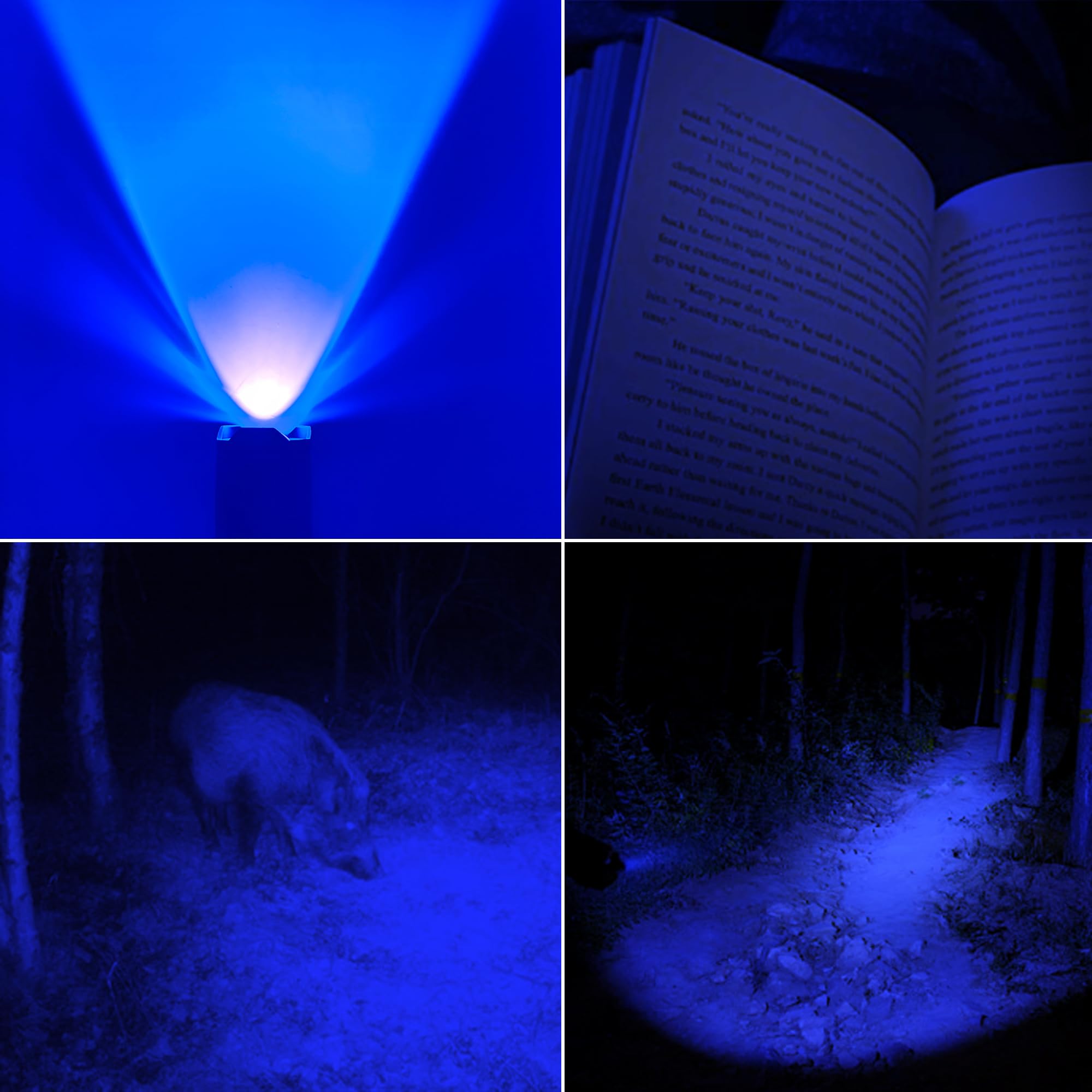 Xinfeibei 4 Color Light Single Mode Red Light Flashlight, Green Blue White Light Led Flashlights For Night Hunting Fishing Observation, 4 Pack