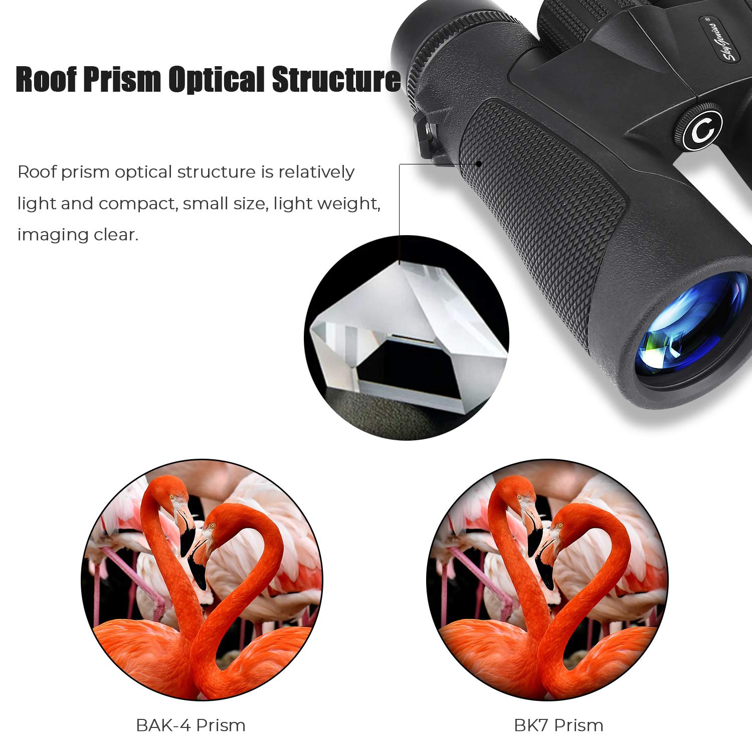 Skygenius 10X42 Binoculars For Bird Watching, Adults - Antifog Waterproof, Bak-4 Roof Prism, Quick Focus Hd For Sporting Events, Sightseeing With Strip
