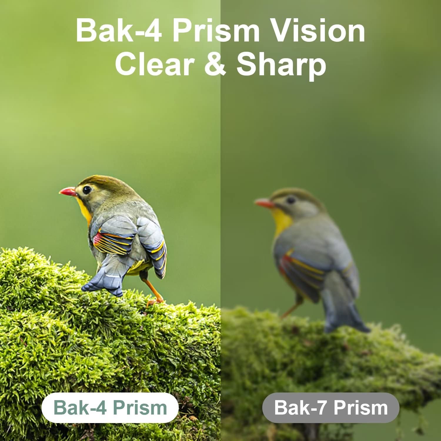 Dranbol 12X25 Mini Pocket Binoculars For Adults Kids, Small Compact Binoculars For Bird Watching, Opera Concert