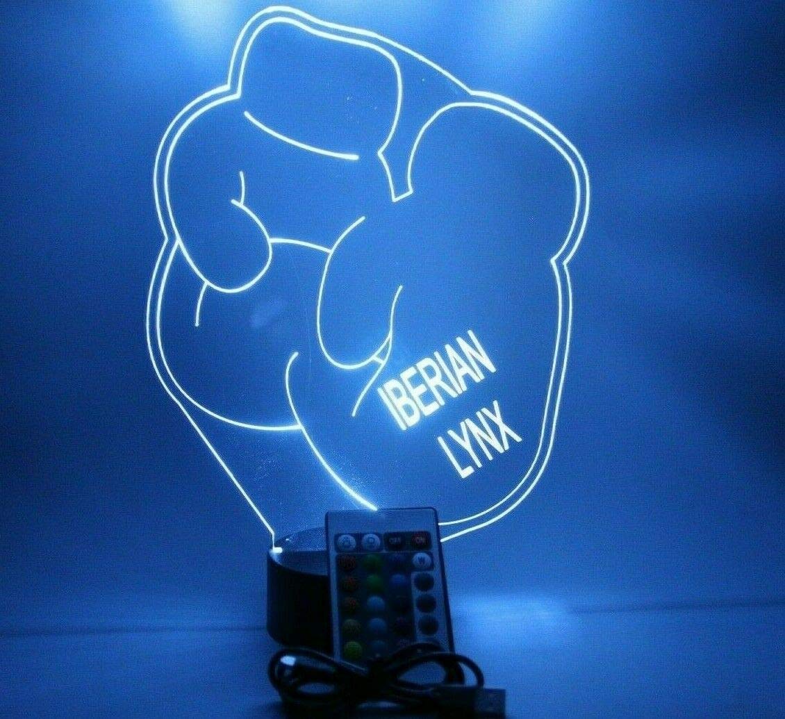 Mirror Mania Sports And Martial Art Ring Boxing Gloves Light Up Light Table Lamp Led Engraved Custom Name Personalized, 16 Color Options With Remote, Boxer