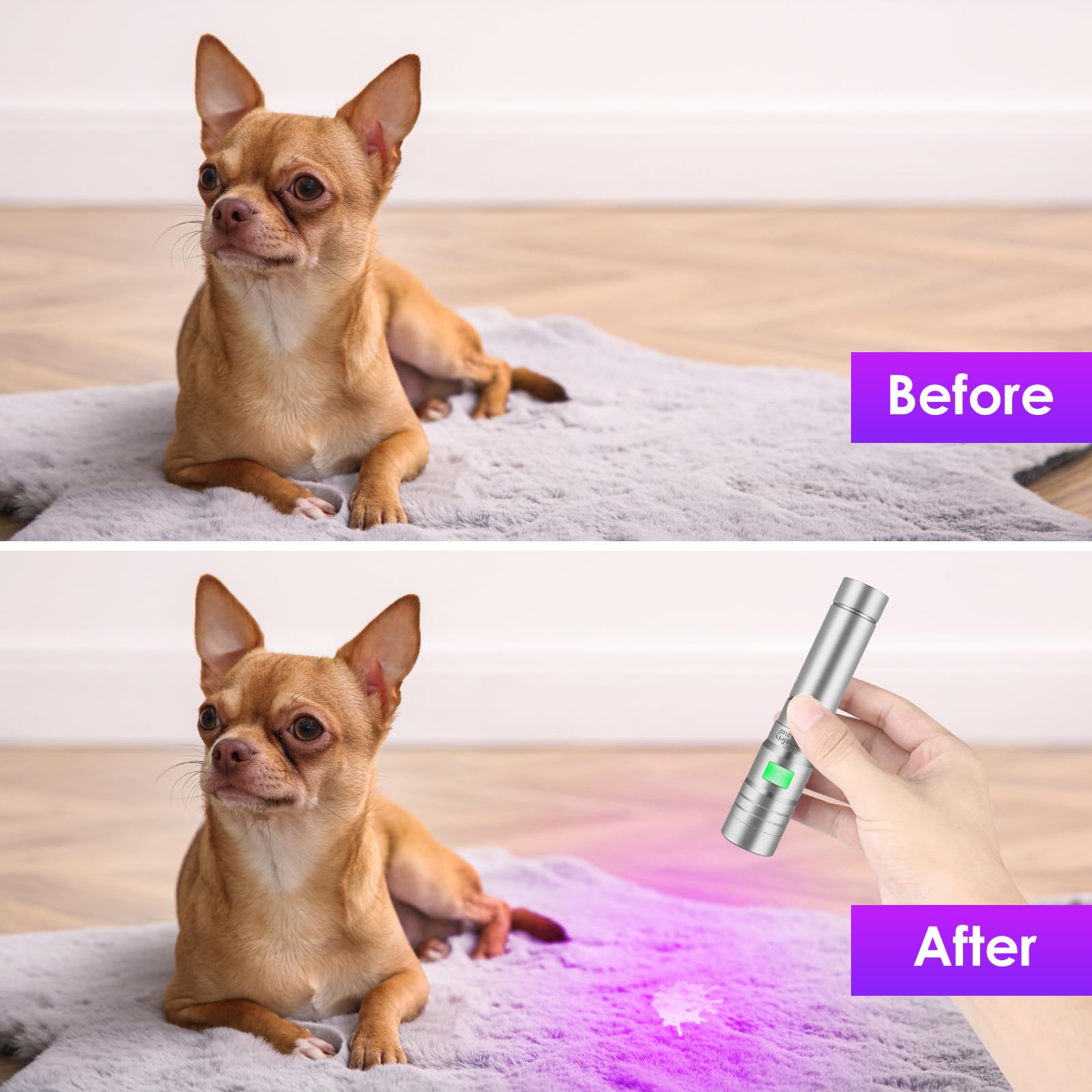 Home Safety 2102 Uv Flashlight 395 Nm Light Blacklight, 10W Powerful Wood’S Lamp Usb-C Rechargeable, Mini Led Uv Lights Pocket Pet Urine Detector For Mineral, Uranium Glass, Resin Curing