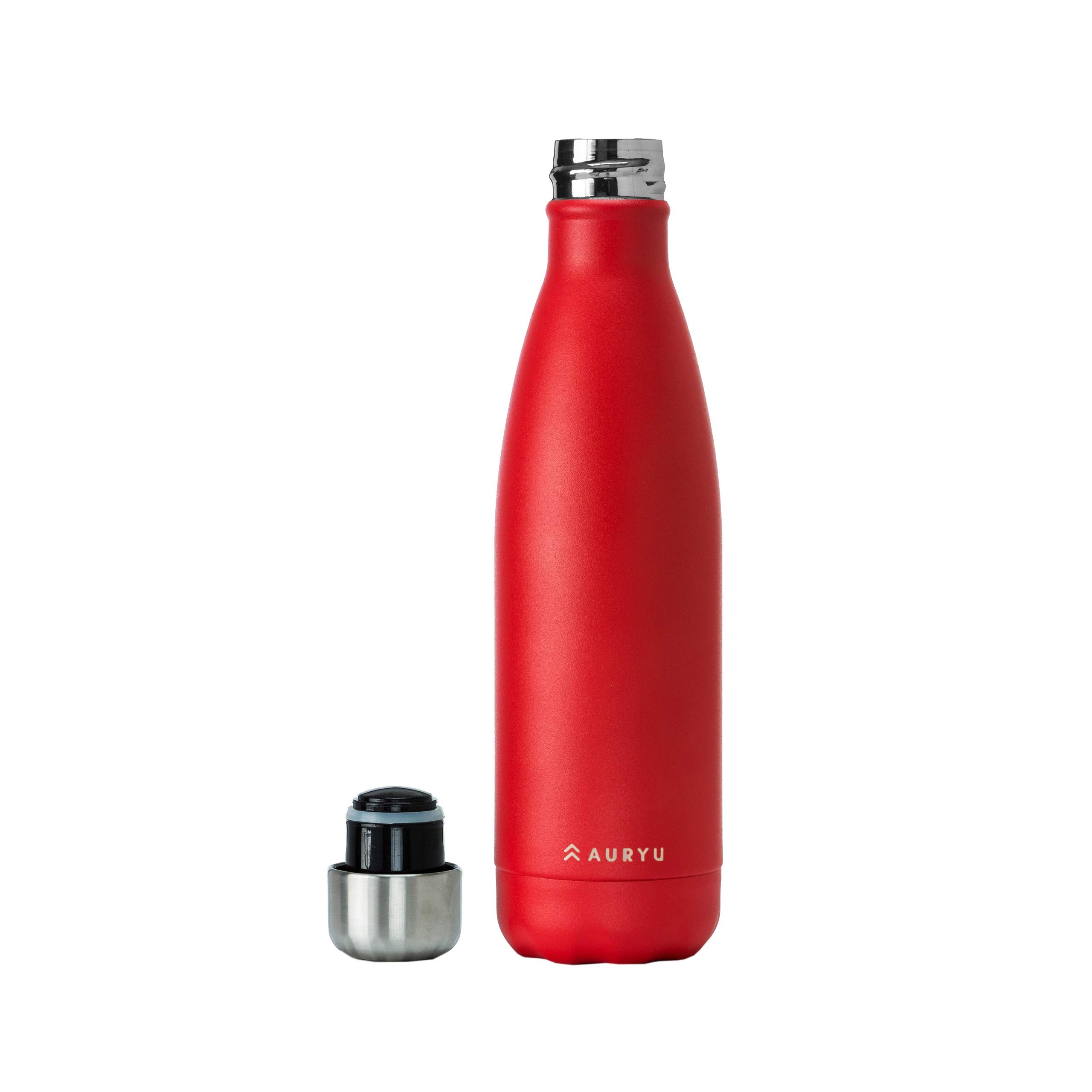 Triple Insulated Stainless Steel Water Bottle, Buy Our Best In Class, Keeps Your Drinks Cold