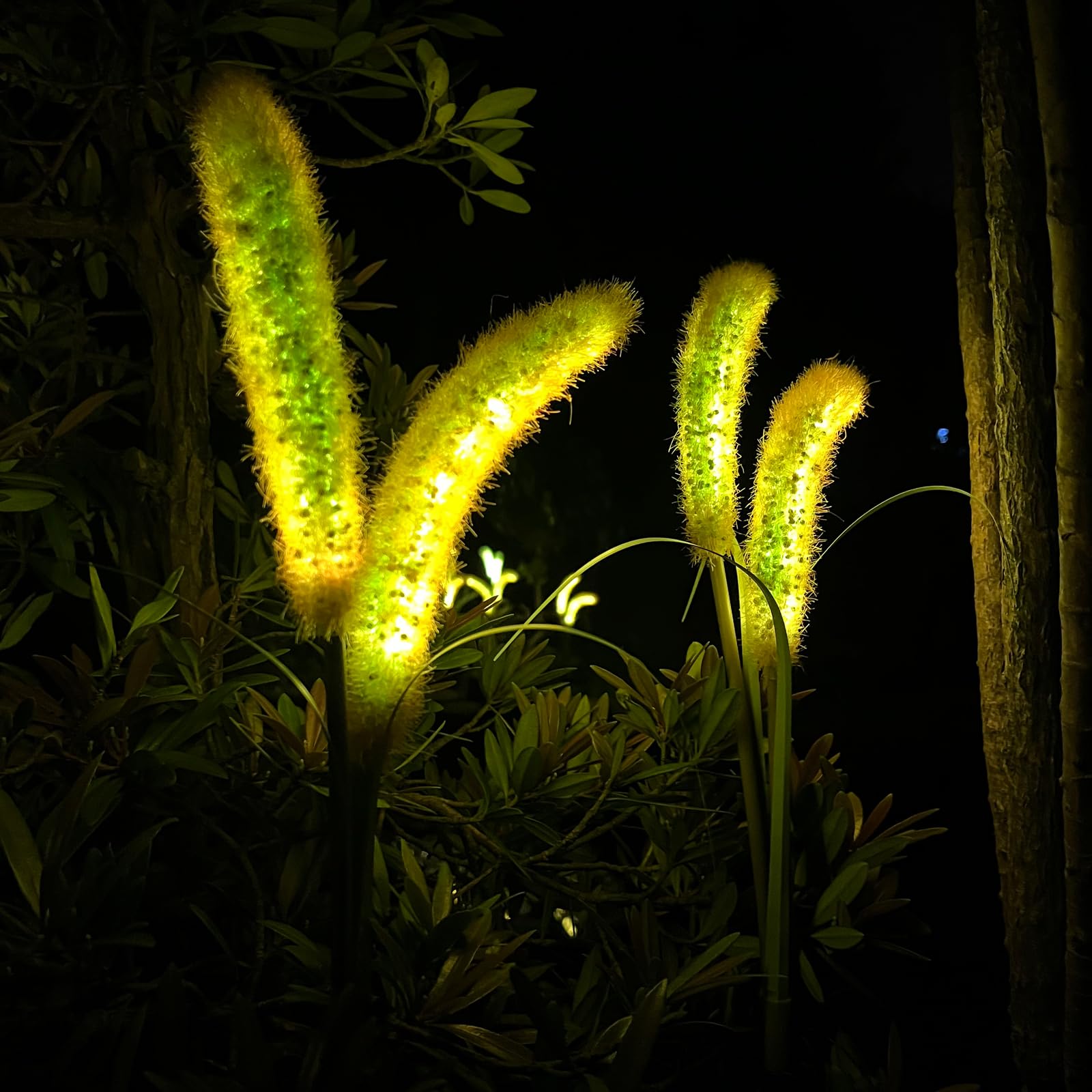 Mindcare Setaria Viridis Solar Lights Outdoor Waterproof, Solar Lights For Garden Patio Yard Decor (Yellow 2 Pack)