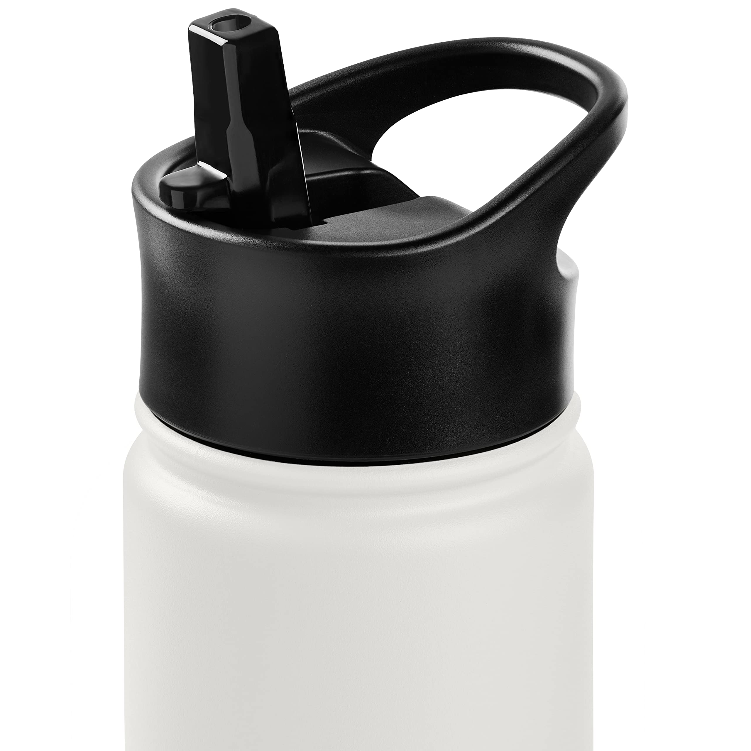 Retrospec Alder Insulated Water Bottle With Straw Lid & Handle Cap - Stainless Steel Wide