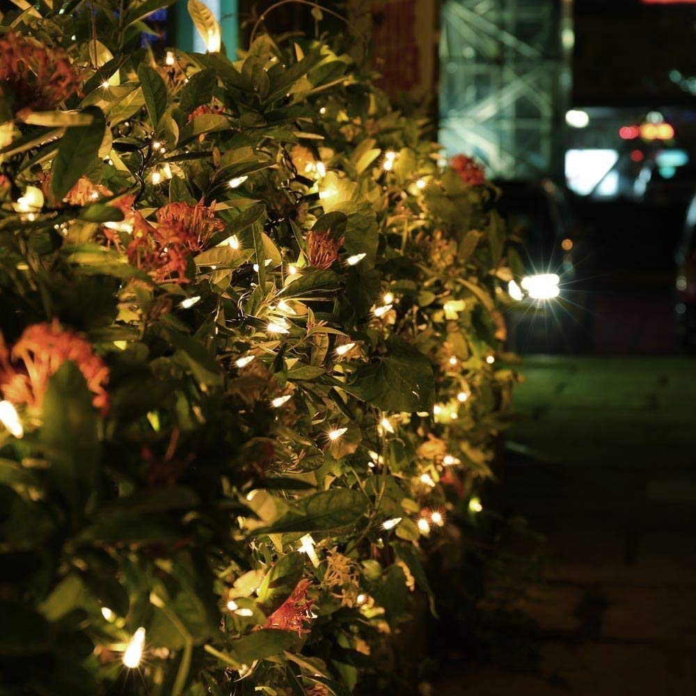 Magotan Christmas Lights With Timer - Battery Operated Outdoor String Lights 200 Led 8 Modes Clear Mini Lights Set For Wedding Party Home Garden Wreath, Waterproof, Warm White