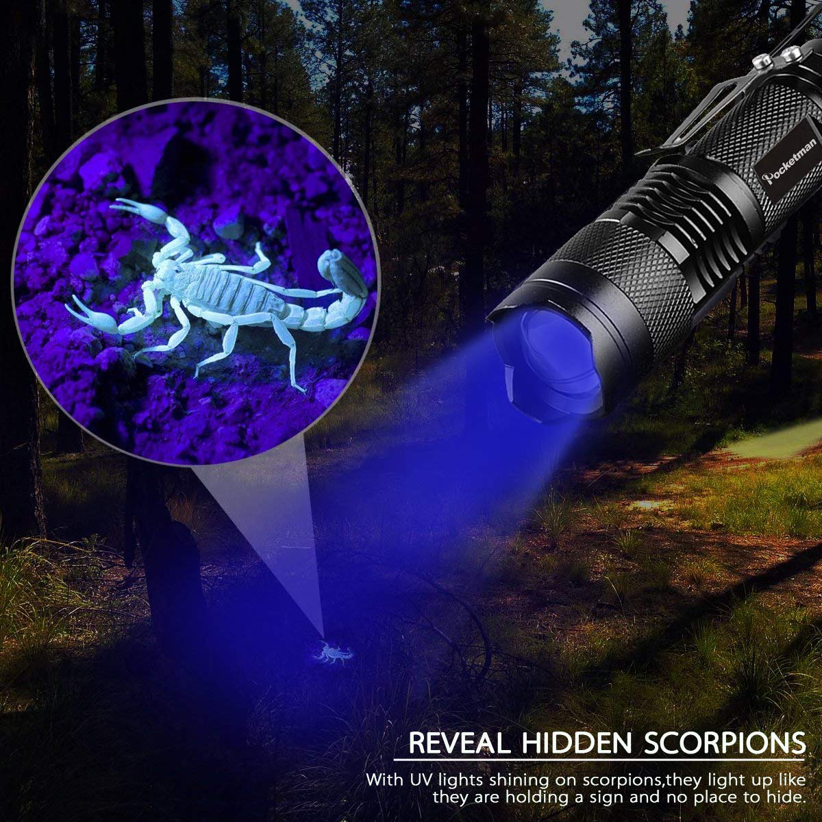 Modaao Black Light Uv Flashlight Uv Light, Blacklight Led Ultraviolet Urine Detector For Dog/Cat/Pet Urine & Dry Stains On Carpets/Rugs/Floor, 5-Pack