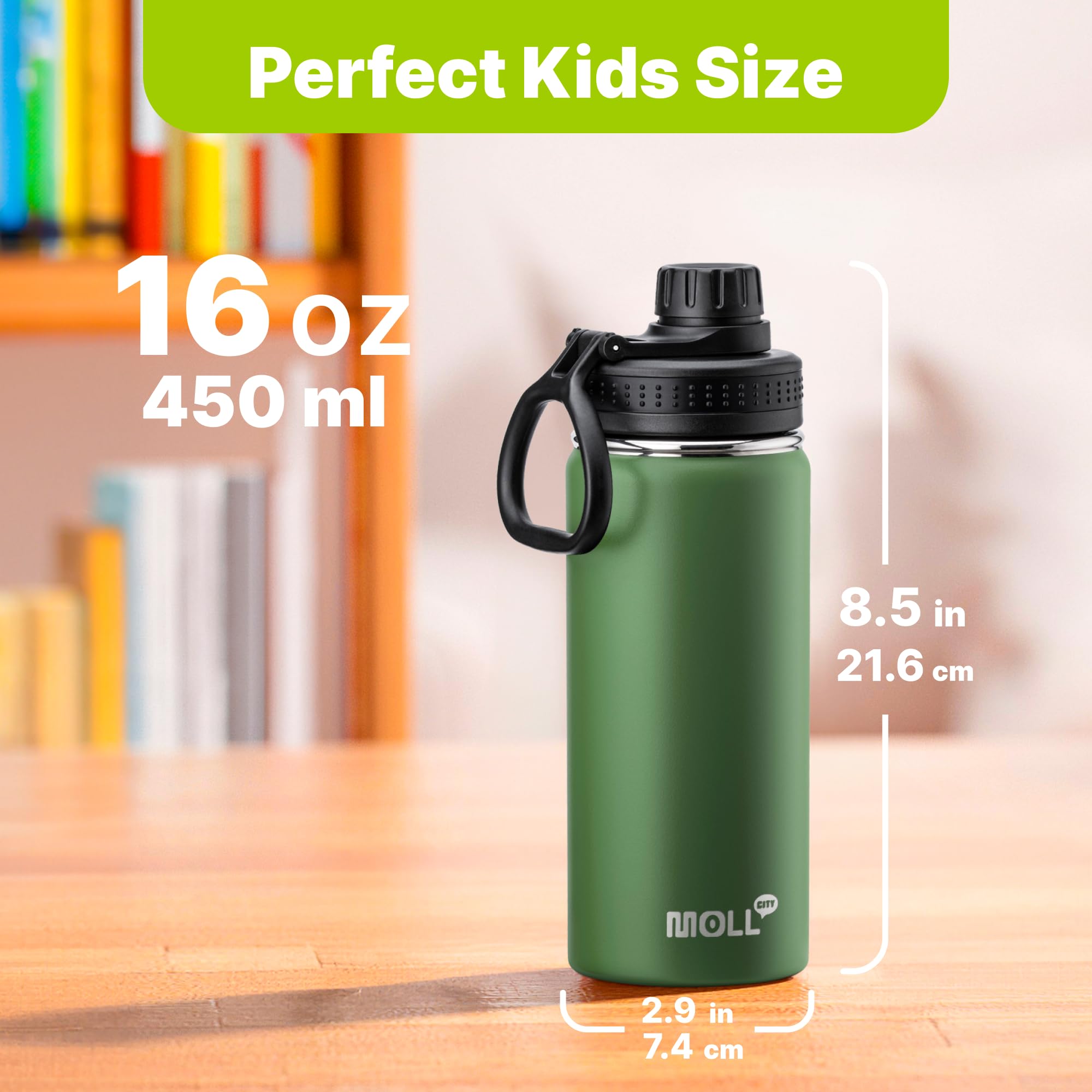 Insulated Water Bottle 2 Pack-16 Oz Stainless Steel Vacuum Sports Water Bottle Wide Mouth Flask