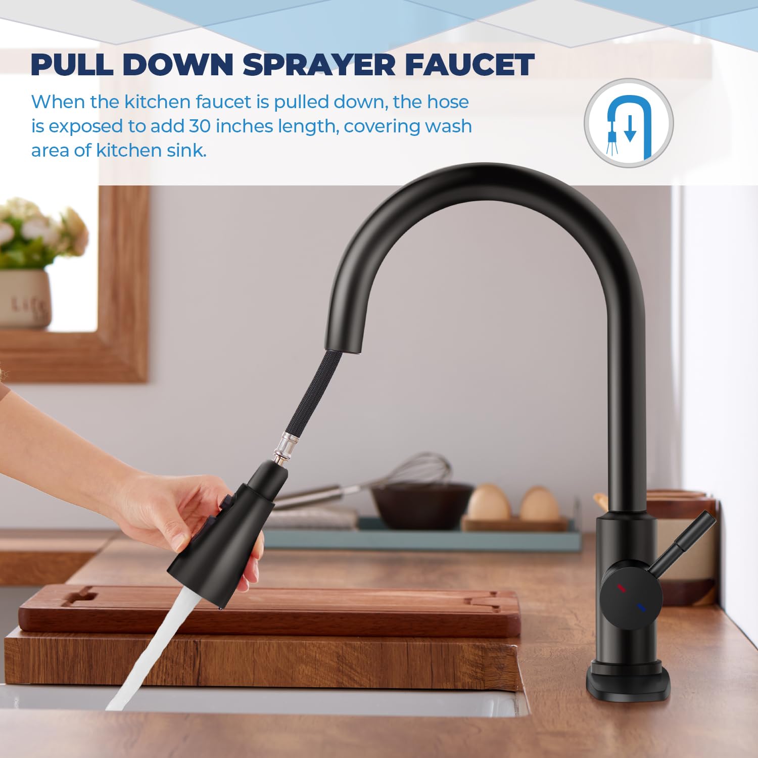 Arrisea Kitchen Faucet With Pull Down Sprayer, Kitchen Sink Faucet Matte Black, High Arc Single Level Kitchen Sink Faucets Pull Down, Stainless Steel