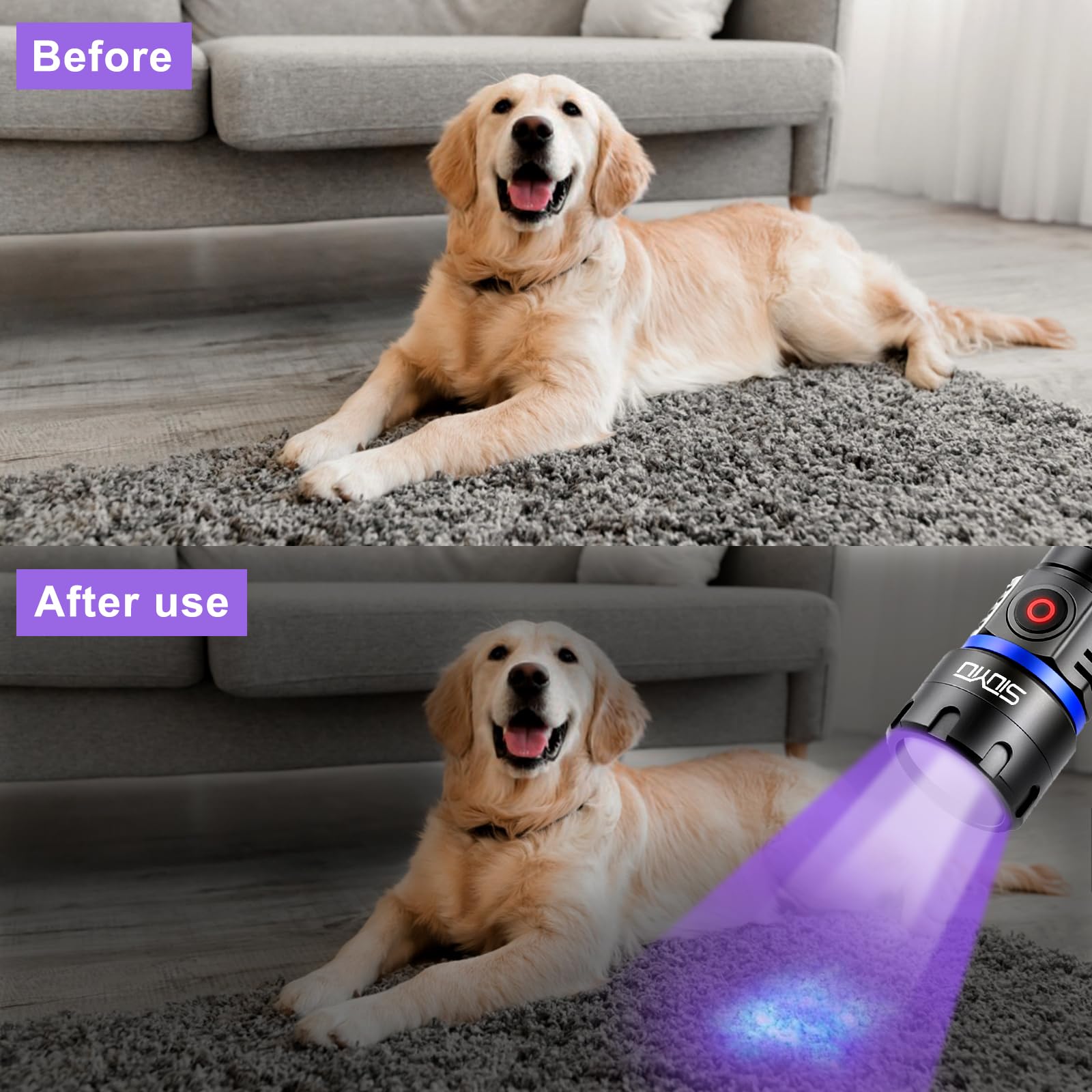 Siuyiu 365Nm Uv-Flashlight Blacklight, 60W 6Led Usb-C Rechargeable, Black Light Flashlights For Pet Urine Detection, Resin Curing, Rock Hunting, Mineral Detection- Ip65 Waterproof & Portable Handheld Torch