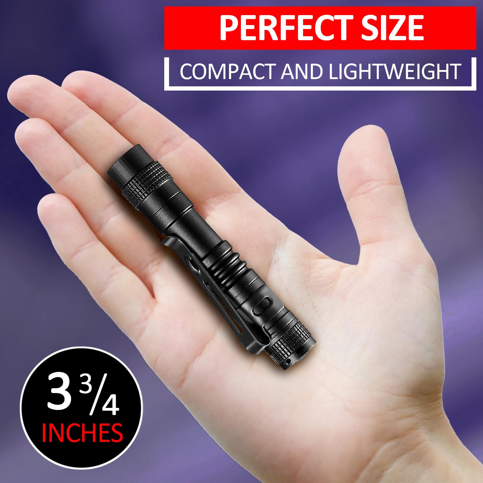 Beieverluck 10 Pack Uv Black Light Flashlight Mini 395Nm Pen Light With Clip Led Handheld Blacklight Detector For Leak Pet Urine Hotel Inspection Dry Stain And Bed Bug, Small