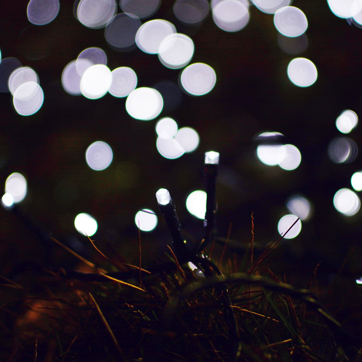 Lalapao Solar String Lights 2 Pack, 400 Led 144Ft Outdoor Waterproof Christmas Lights, 8 Modes For Tree, Patio, Yard, Garden, Parties Decoration (White)