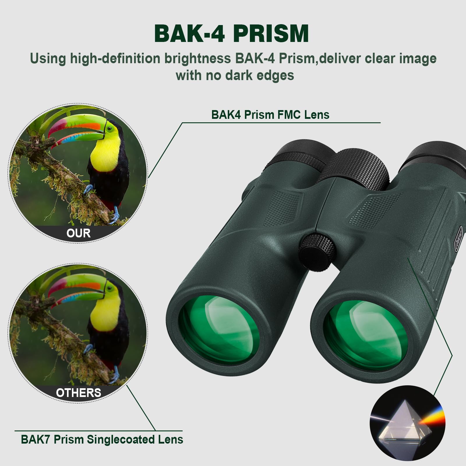 Celticbird 10X42 Hd Binoculars With Phone Adapter, Case, Bak4 Prism Binoculars For Bird Watching Hiking Camping Wildlife