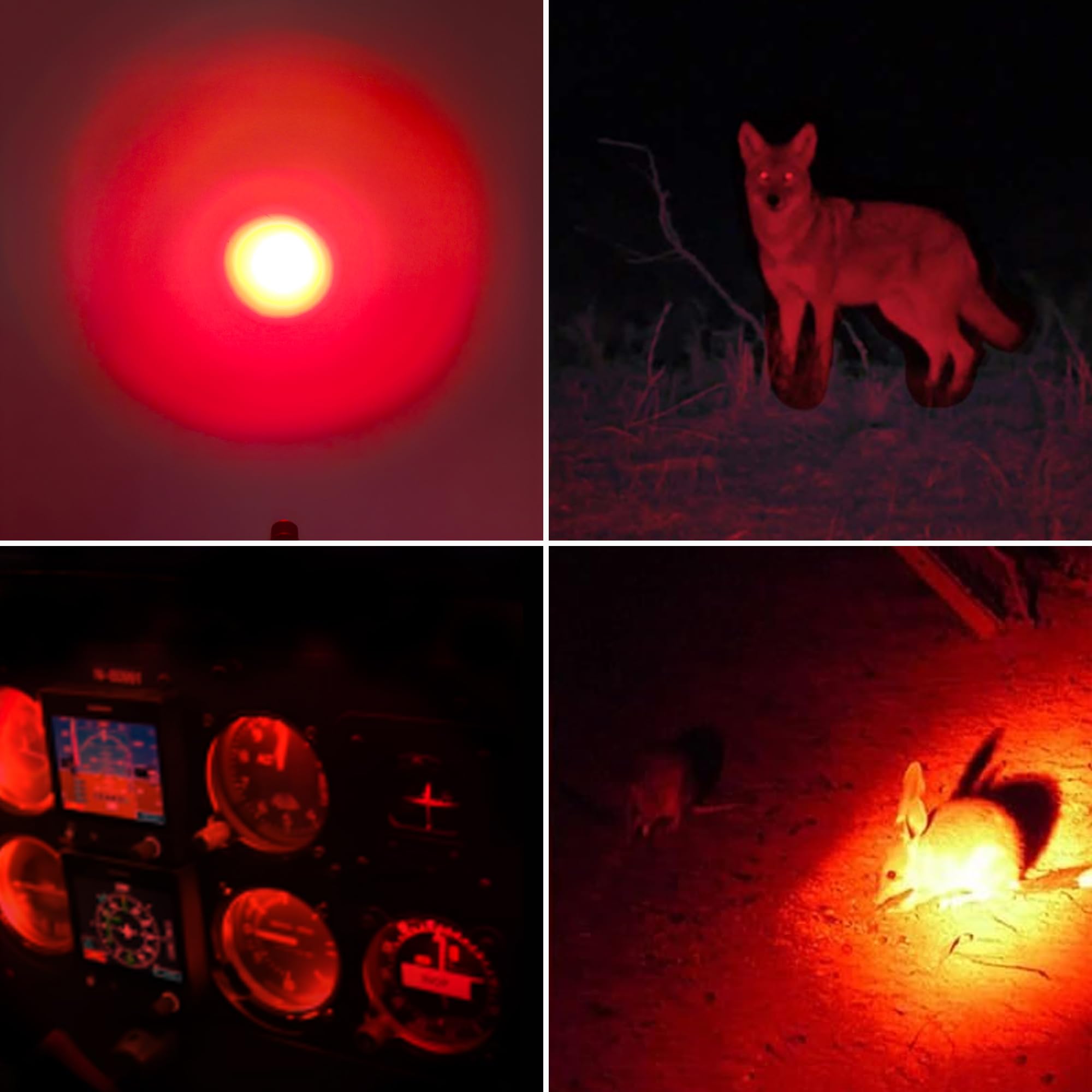 Naiveisland Red Light Flashlight,Single Mode Red Light Pen Light Flashlight For Astronomy, Aviation, Night Observation,4-Pack