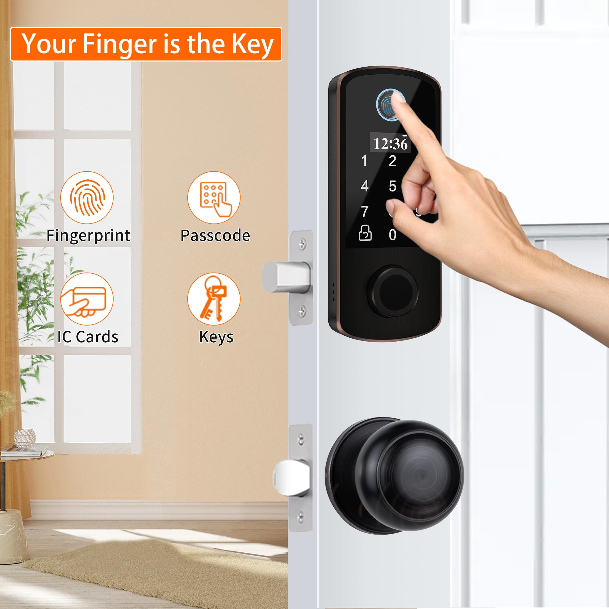 Bebasia Smart Door Lock, Biometric Fingerprint, 300+ Users, Oled Display & Voice Guide, Keyless Entry, Front Door Lock Set, Electronic Keypad Deadbolt, Aged Bronze