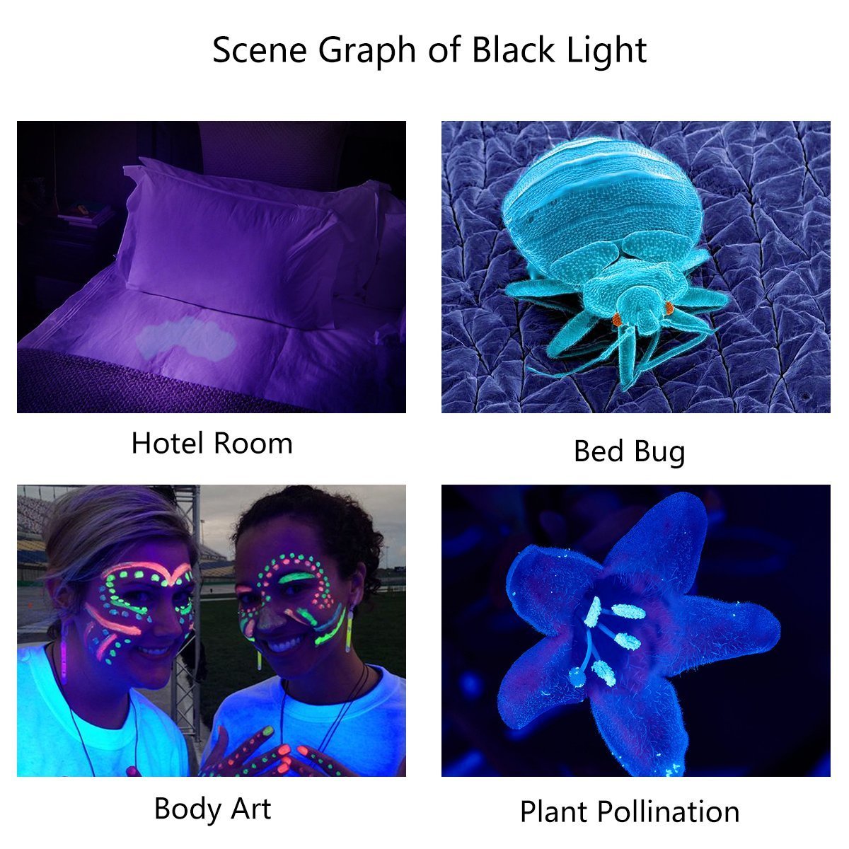 Ar Happy Online Uv Flashlight, Uv Light Led Flashlight , Zoomable 395Nm Uv Flashlight Black Light Detector For Pets Urine And Stains, Bed Bugs And Scorpions (2 Pack)