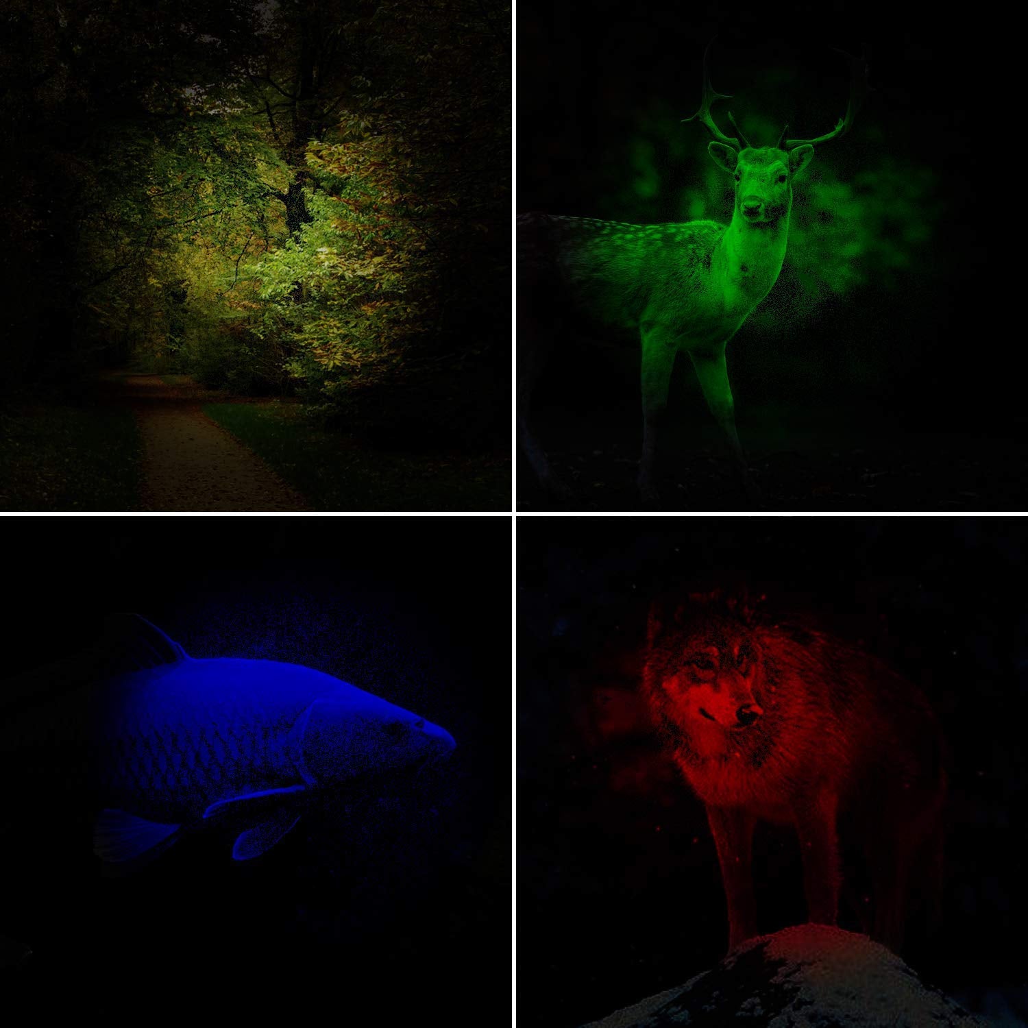 Lcyyo 4 In 1 Multicolor Flashlight, 300 Lumen Zoomable One Mode White Red Green Blue Light, Hunting Flashlight