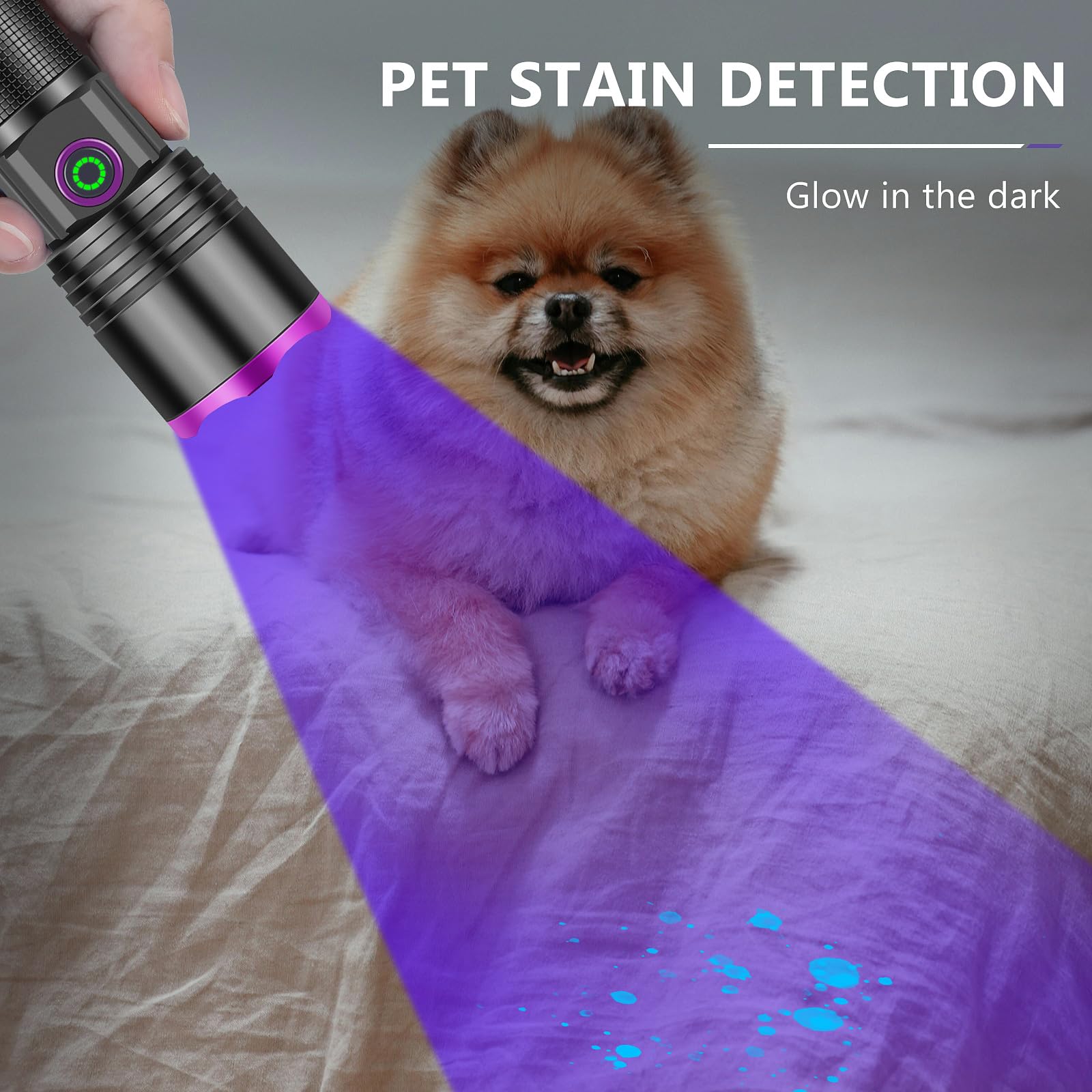 Xlentgen 20W Uv Light Flashlight 365Nm, Black Light Ultraviolet Flashlights, For Resin Curing Fishing, Dry Glue, Minerals Ringworm, Fluorescent, Scorpion, Rockhounding, Pet Urine Detector