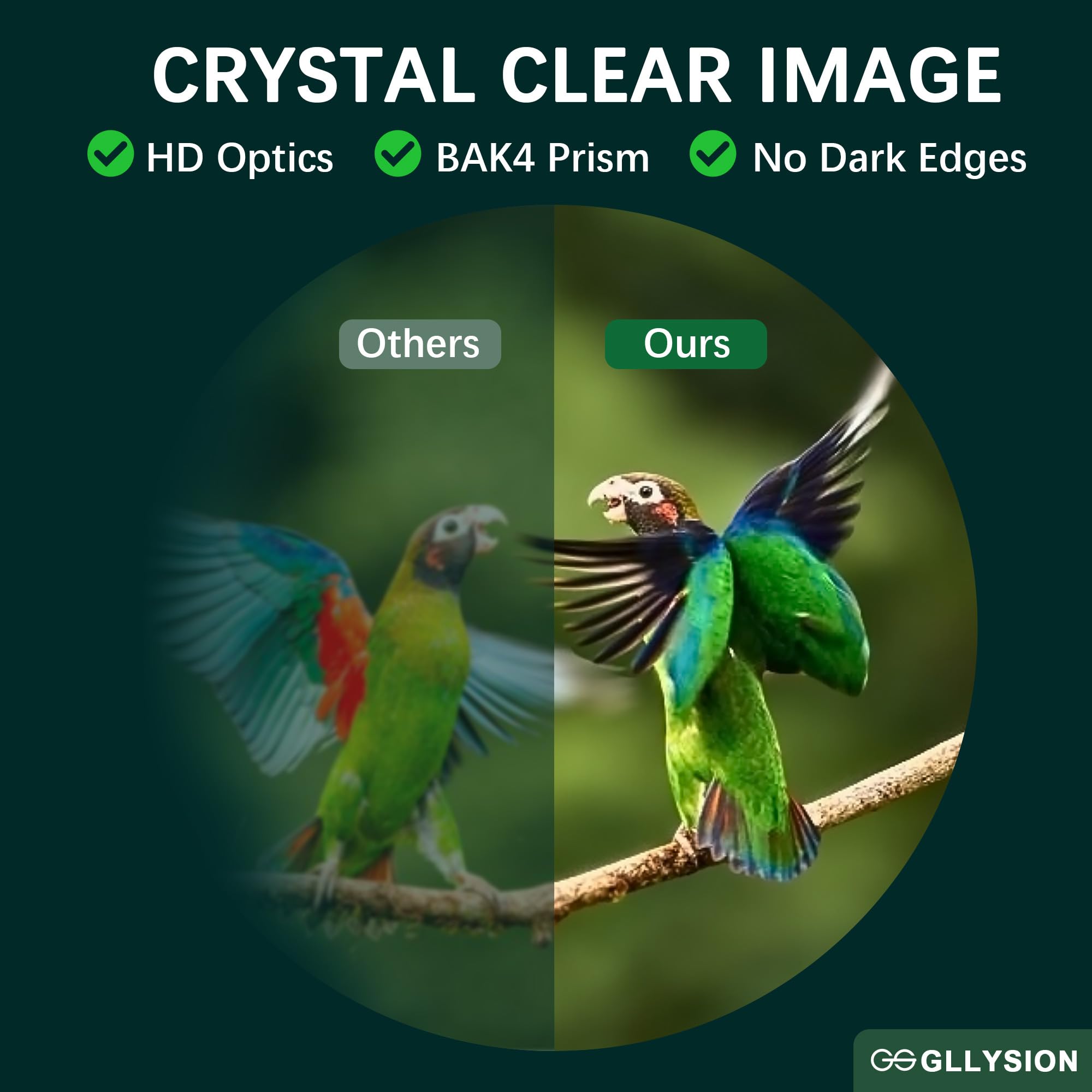 Gllysion 12X50 Uhd Binoculars For Adults High Powered With Phone Adapter, Super Bright Ipx7 Waterproof Binoculars With Bak4 Prisms, Professional Binocular For Hunting Bird Watching Stargazing Safari Travel