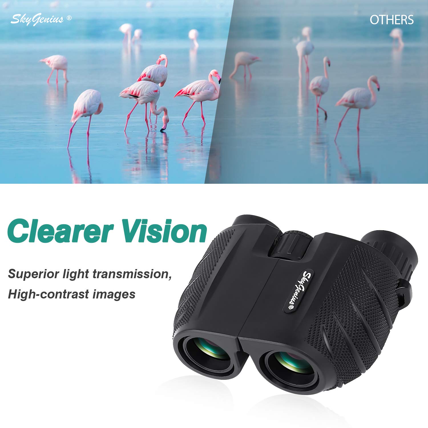 Skygenius 10X25 Compact Binoculars For Adults And Kids, Small For Bird Watching, Theater And Concerts, Outdoor Travel Sightseeing Hunting Hiking