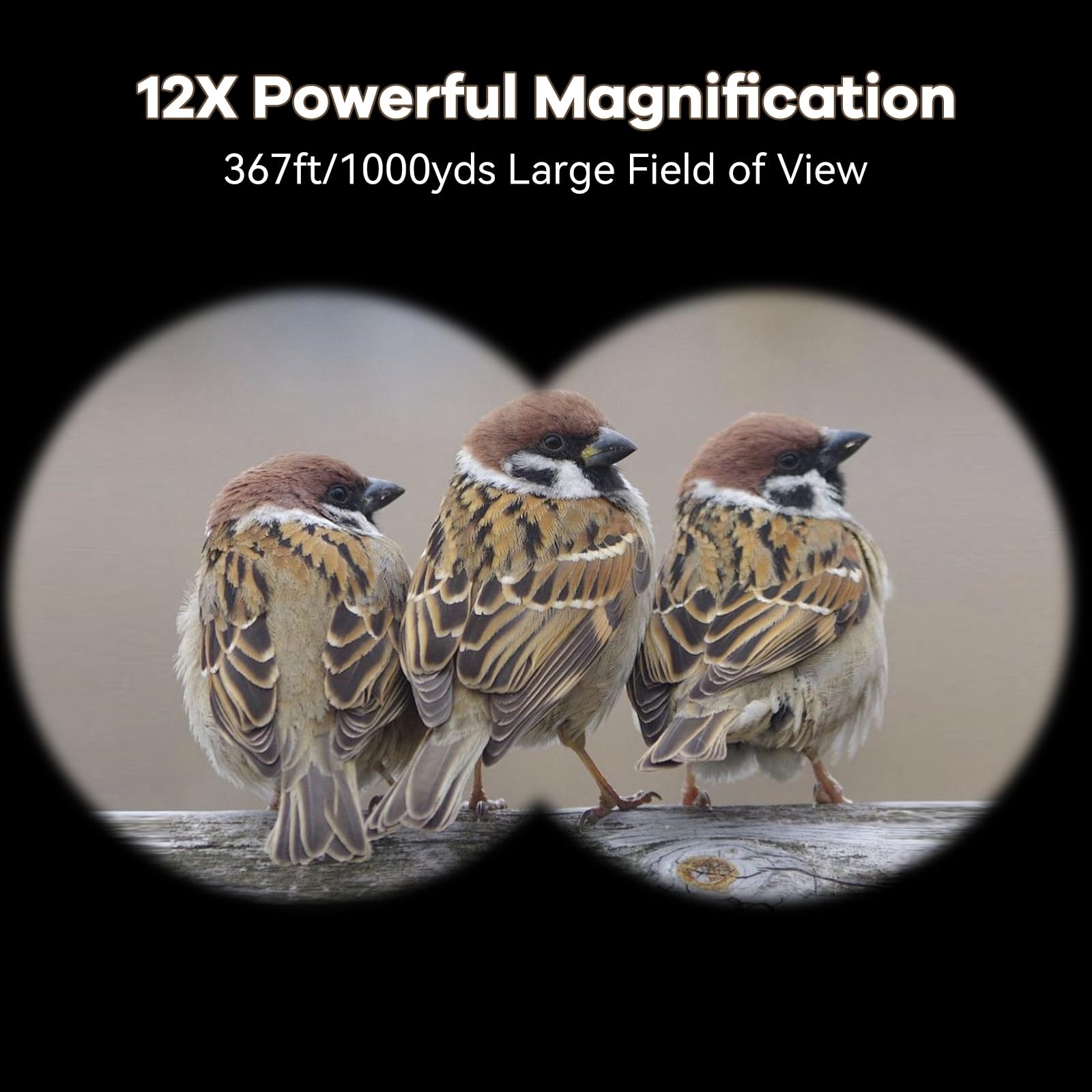 Koddon 12X42 Binoculars For Adults - High Powered With Low Light Vision For Bird Watching, Cruise Ship, Hunting, Outdoor Travel And Sports - Easy Focus