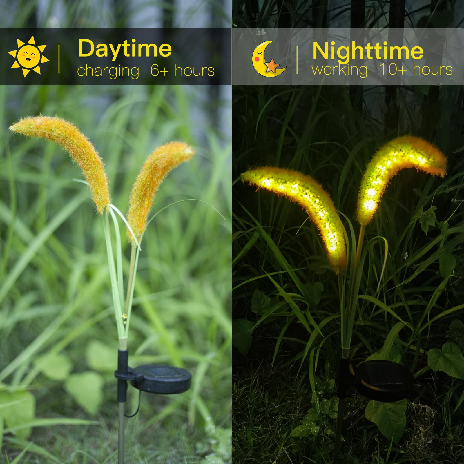 Mindcare Setaria Viridis Solar Lights Outdoor Waterproof, Solar Lights For Garden Patio Yard Decor (Yellow 2 Pack)