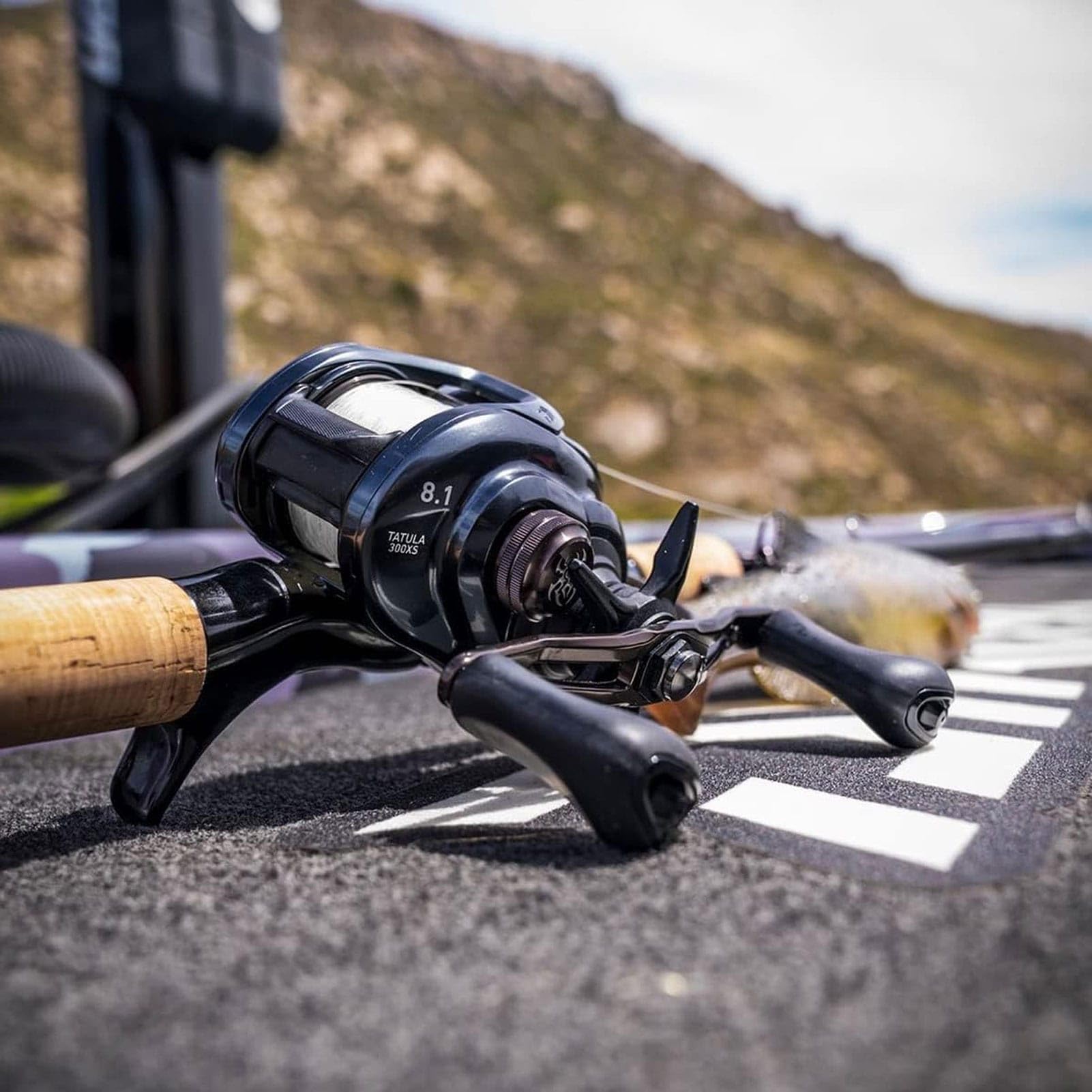 Daiwa Ttuct100Xsl Tatula Ct Baitcast Reel, 7 + 1, 8.1 : 1, Multi, One Size