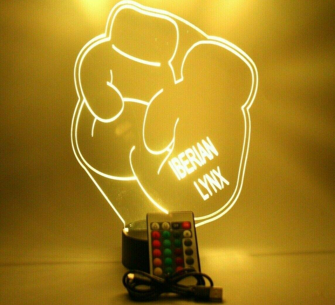 Mirror Mania Sports And Martial Art Ring Boxing Gloves Light Up Light Table Lamp Led Engraved Custom Name Personalized, 16 Color Options With Remote, Boxer