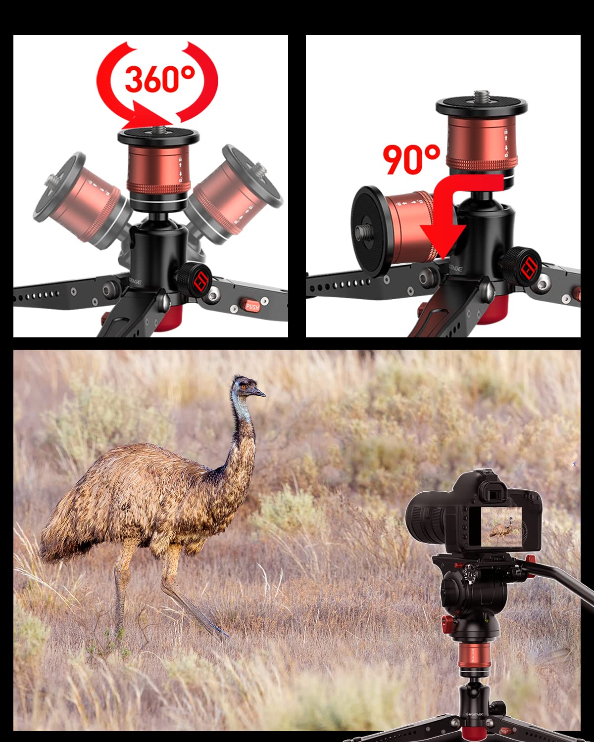 Ifootage Cb3 Base Tripod Standard With Aluminum Phone Tripod Mount W Cold Shoe Mount,Red