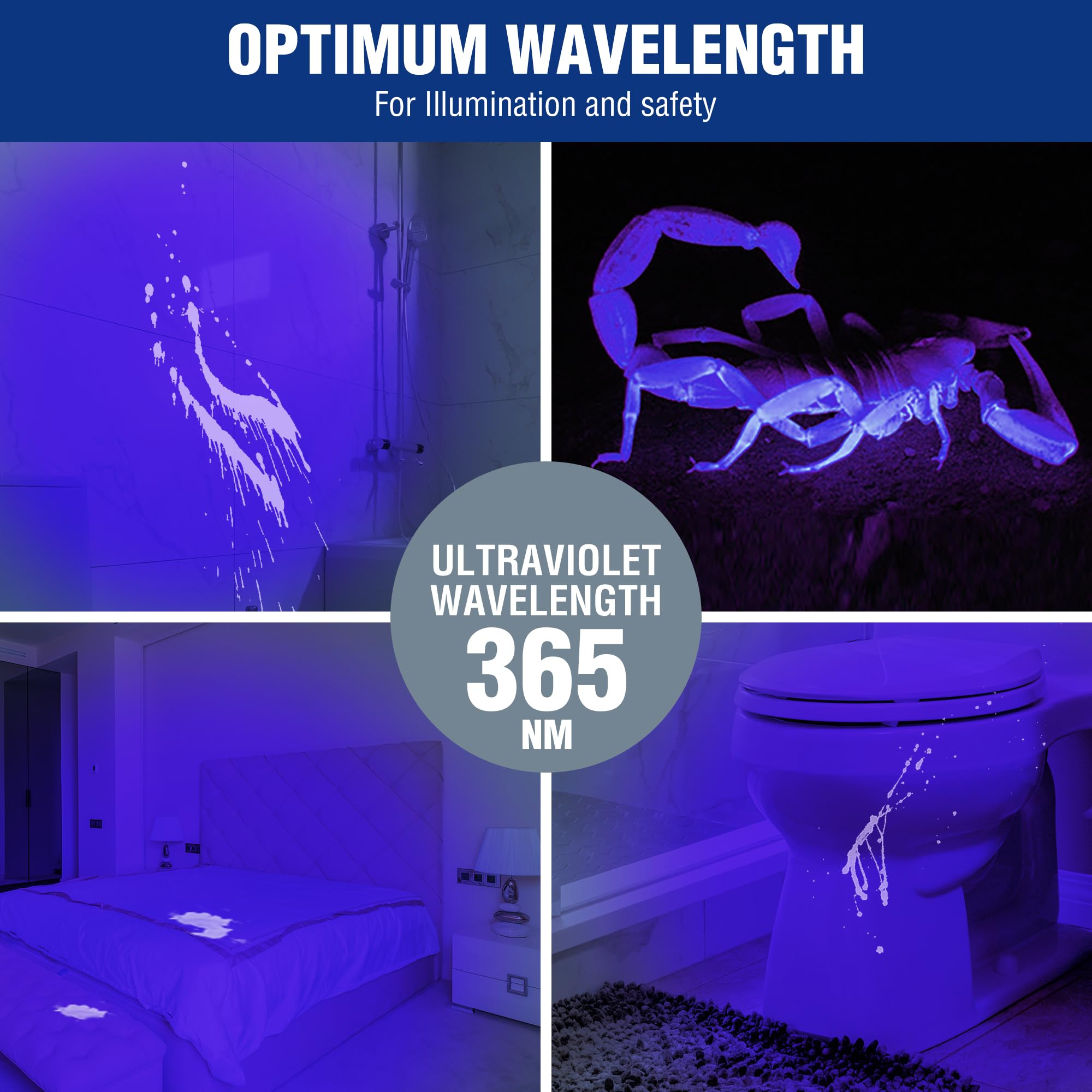 Workpro Uv Black Light Flashlight, 2-Pack 365Nm Uv Pen Light With Clip, Mini Ultraviolet Flashlight For Leak, Pet Urine, Scorpion, Hotel Inspection, Dry Stain And Bed Bug