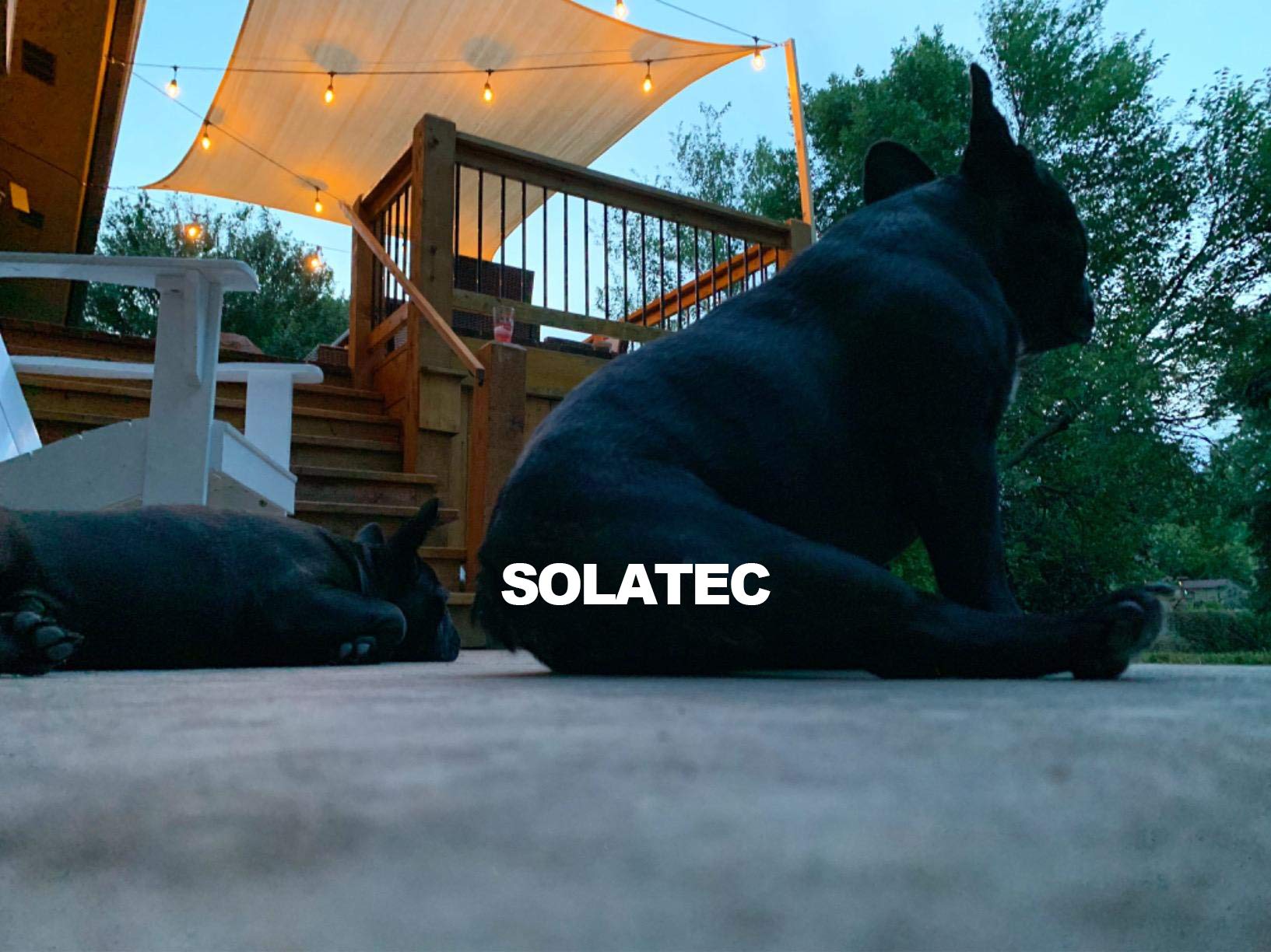 Solatec Led String Lights, Shatterproof 48Ft 15 Hanging Sockets Commercial Grade Waterproof 2W Outdoor String Light Decor For Patio, Garden, Balcony, Deck S14 2W